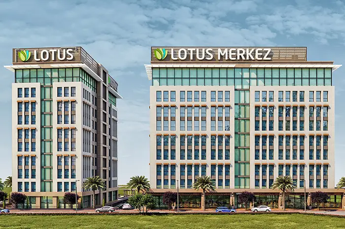 Lotus Ofis